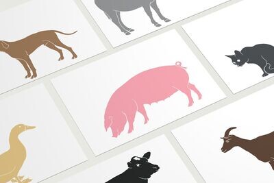 15 Postkarten alle Haustiere (14,8cm x 10,4cm)