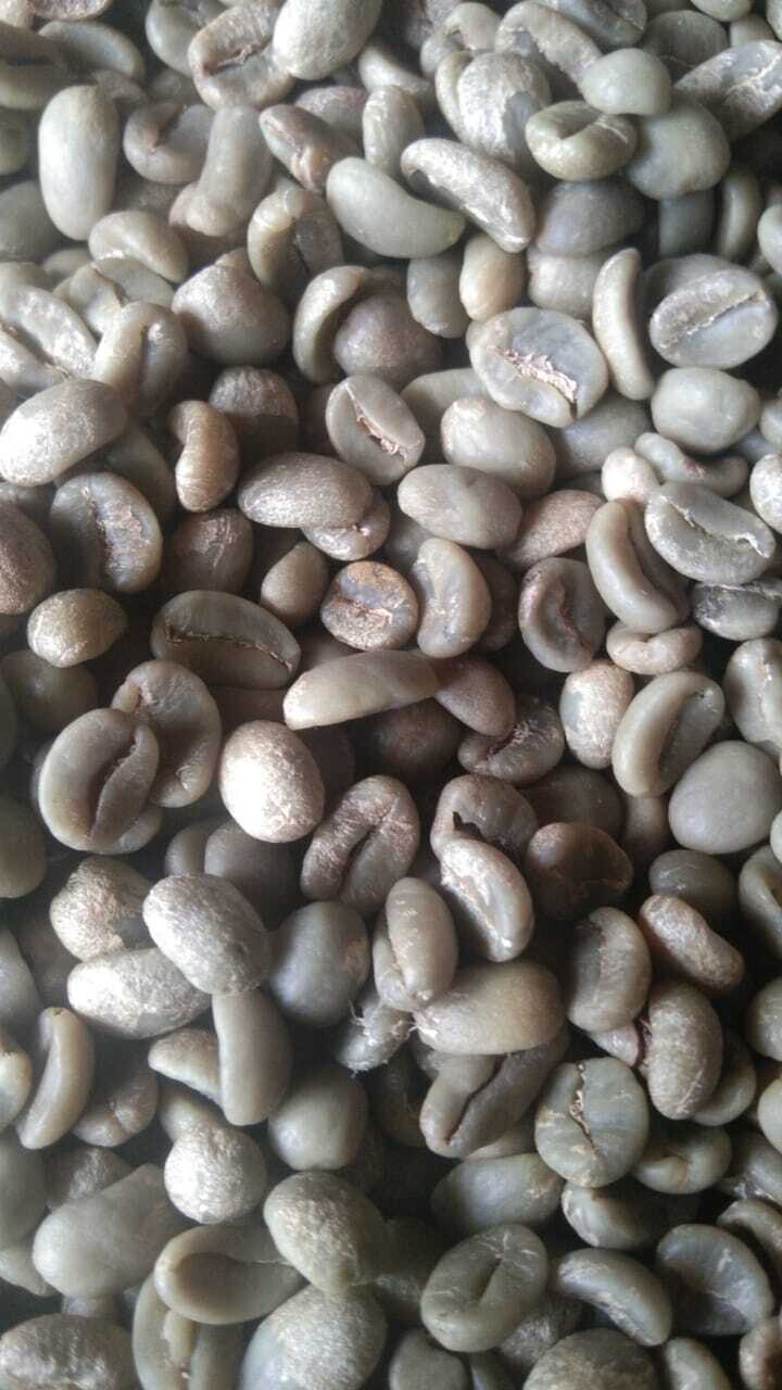 Pure Wild Luwak Coffee Arabica Green Beans Unroasted | Free Shipping to US