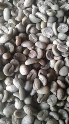 Sample Pack 0.5 Pounds (8 Oz) | Pure Wild Luwak Coffee Arabica Green Beans Unroasted