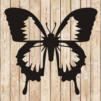 Butterfly vector 1