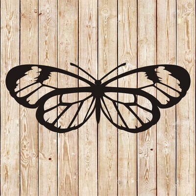 Butterfly vector 3