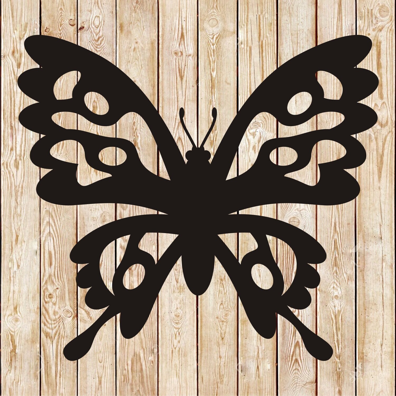 Butterfly vector 5