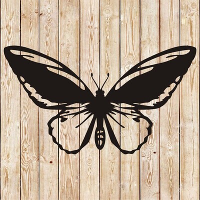 Butterfly vector 7