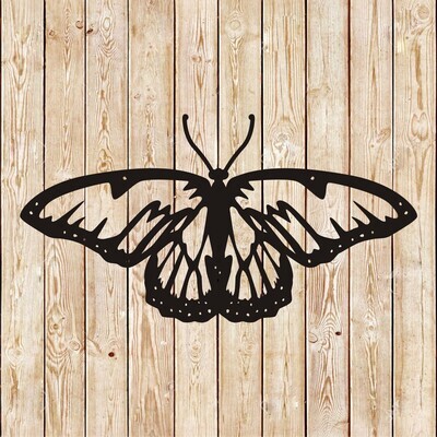 Butterfly vector 6