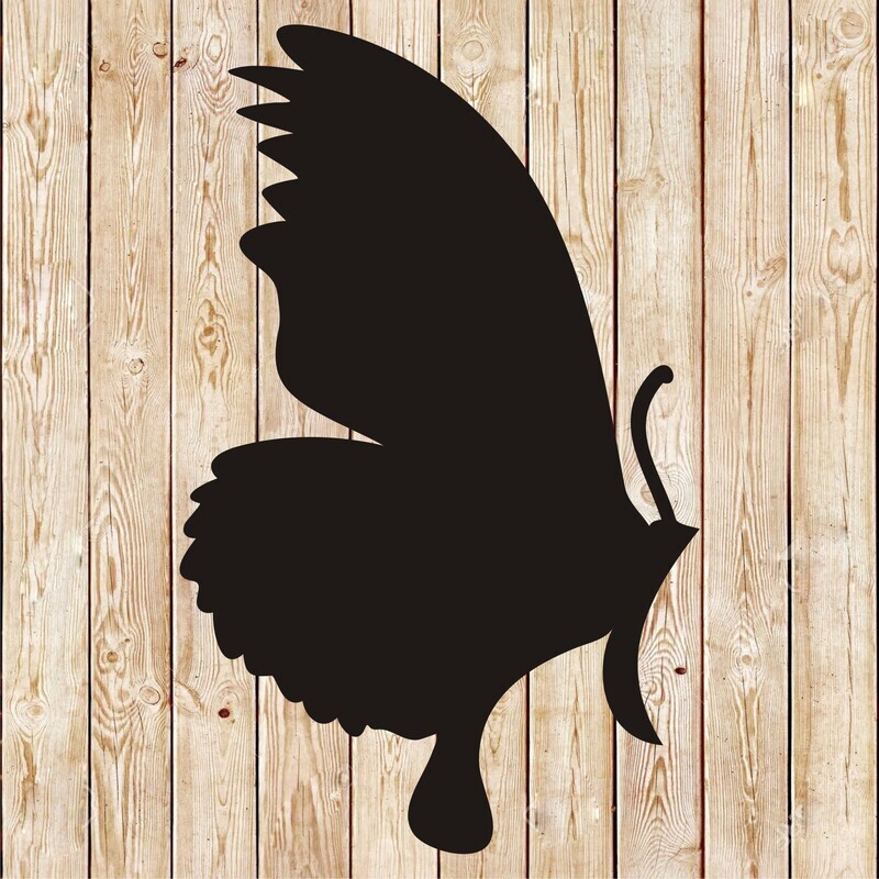 Butterfly vector 13