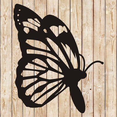 Butterfly vector 15