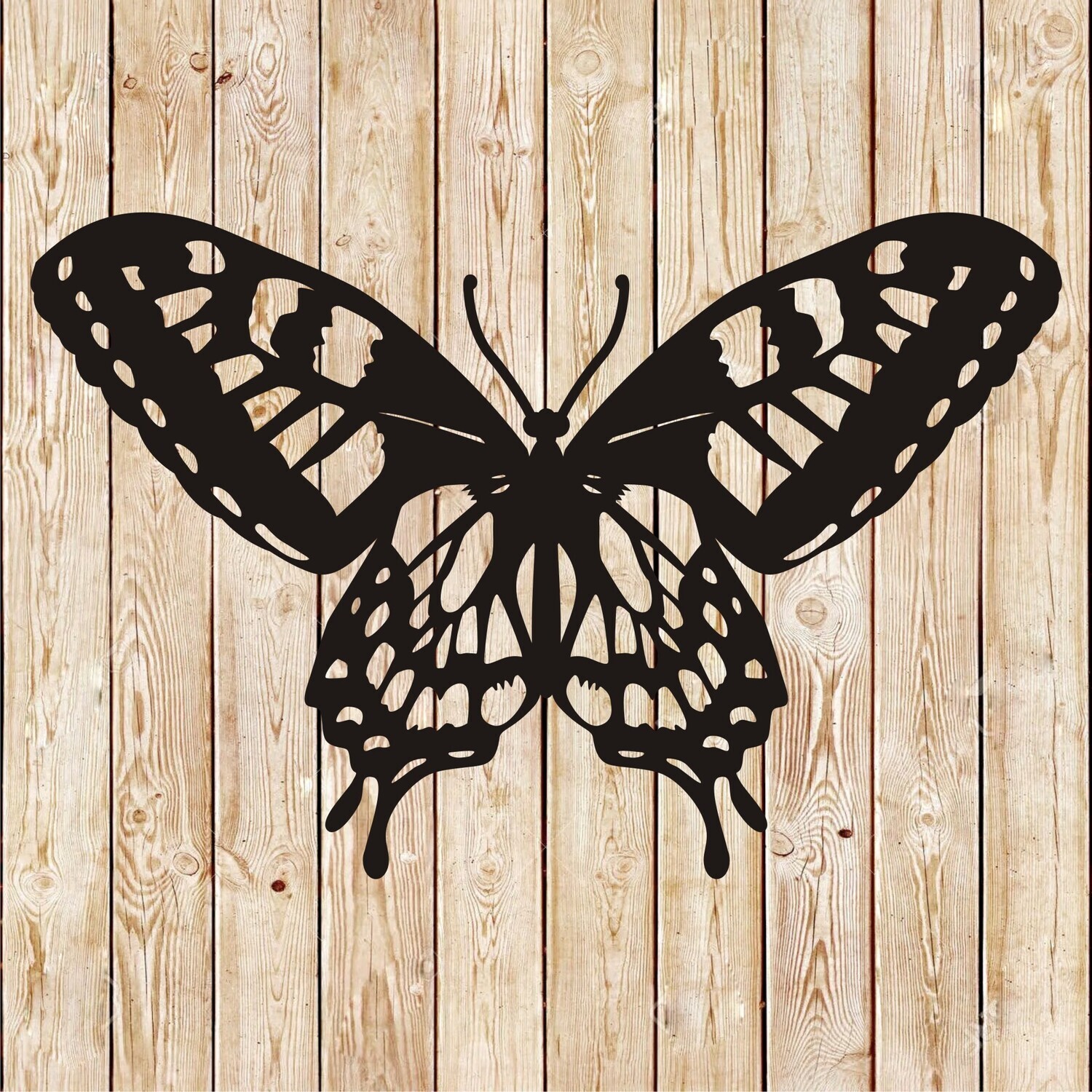 Butterfly vector 11
