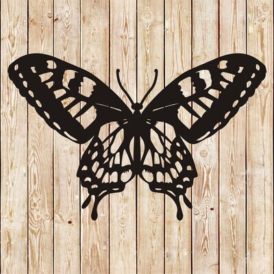 Butterfly vector 11