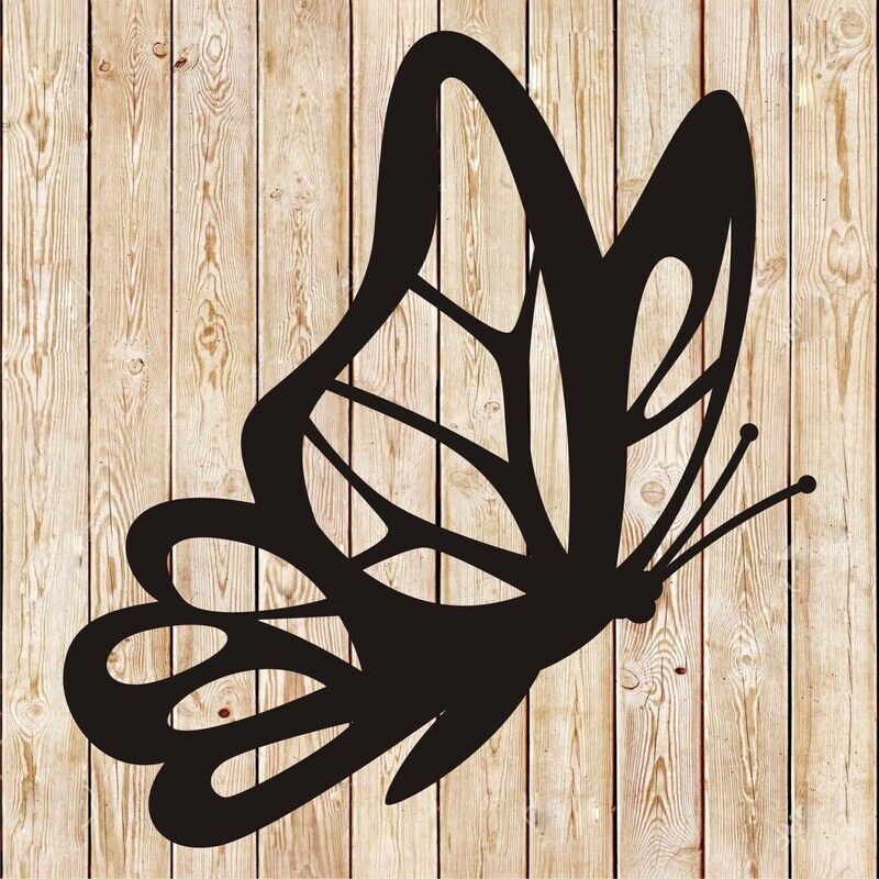 Butterfly vector 16