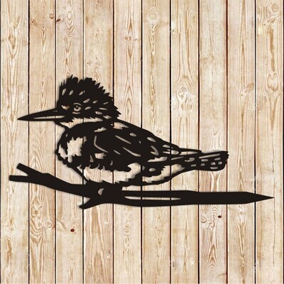 Belted Kingfisher Bird Pike Decor