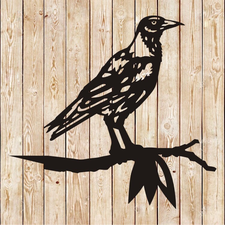 Australian Magpie pike cutting file