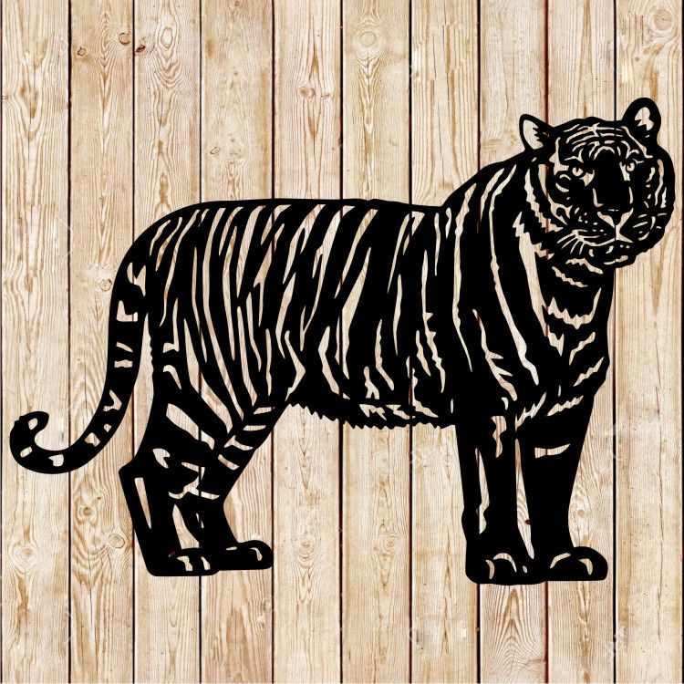 Tiger (Panthera tigris) cutting file