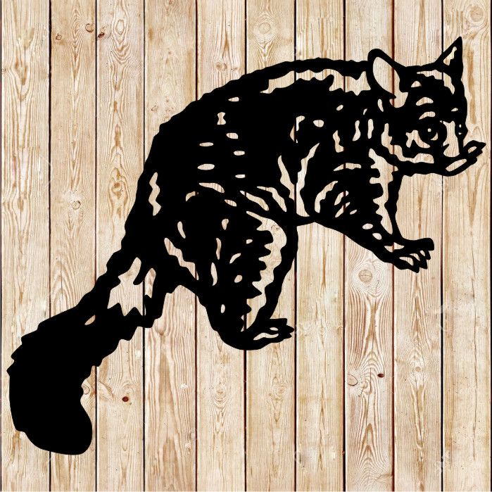 Australian Brush Tailed Possum cutting file