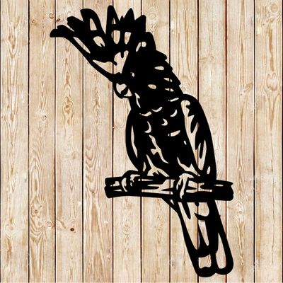 Australian Pink Cockatoo - Leadbeater's Cockatoo