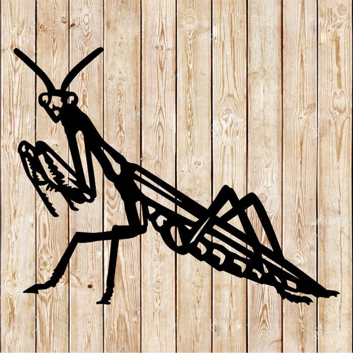 Praying Mantis bug utting file