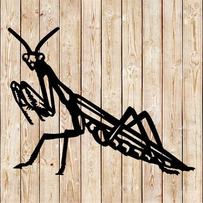 Praying Mantis bug utting file