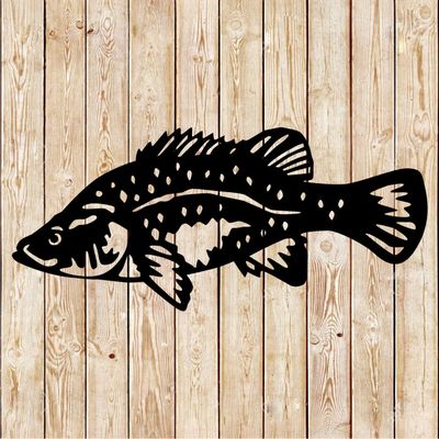 Yellow belly - Golden Perch Fish Vector Cutting File