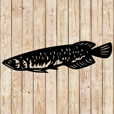 Saratoga Fish - Australian Arowana Fish Vector Cutting File
