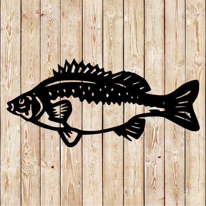 Silver Perch Fish Vector Cutting File