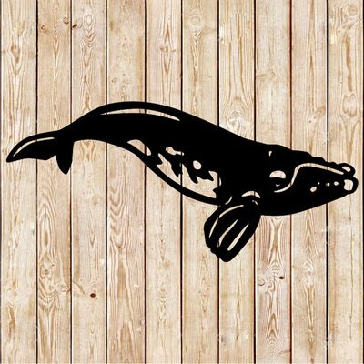 Southern right whale Cutting File