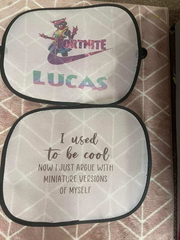 Car sun shade x2