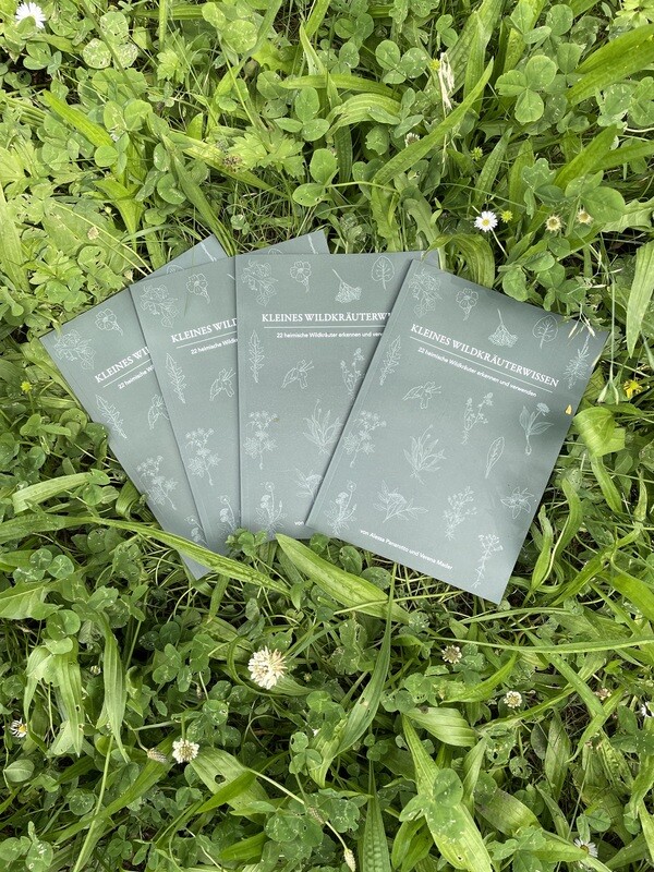 Buch: Kleines Wildkräuterwissen (Lerne 22 essbare Wildpflanzen kennen)