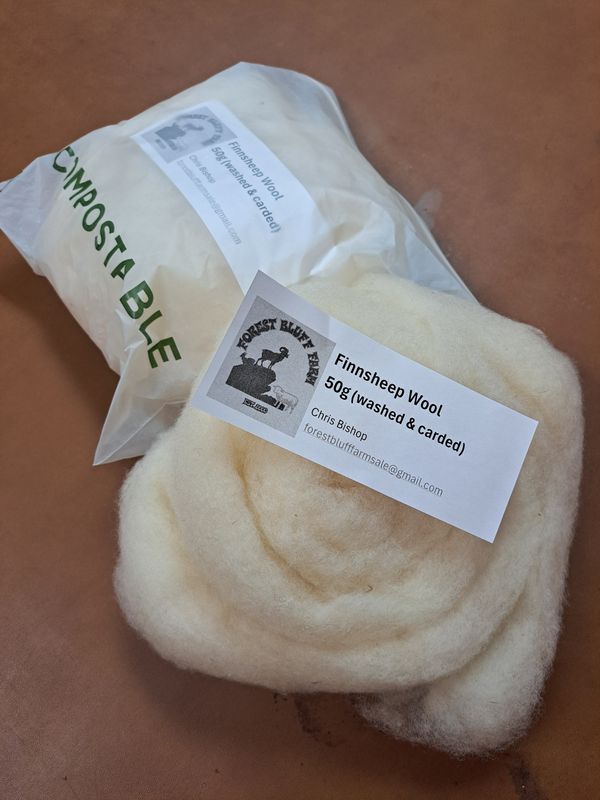 Finnsheep roving, and washed & carded wool Finnsheep roving, and washed & carded wool
