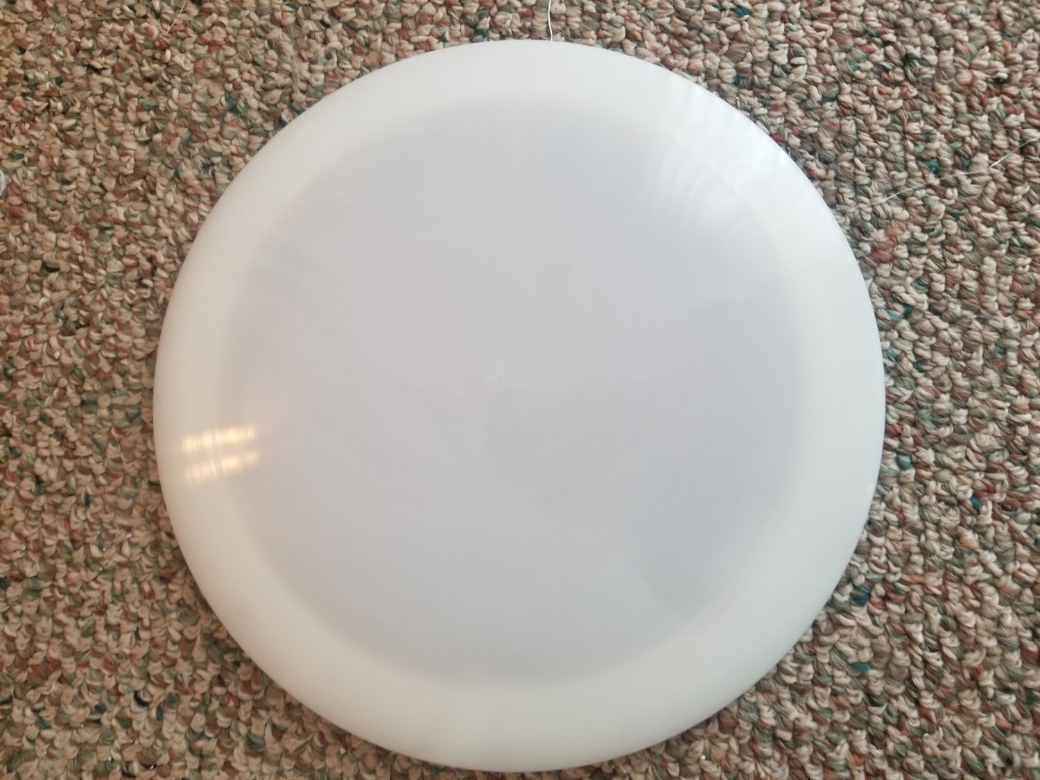 Dynamic Discs Blank White Lucid Ice Defender 160-169g