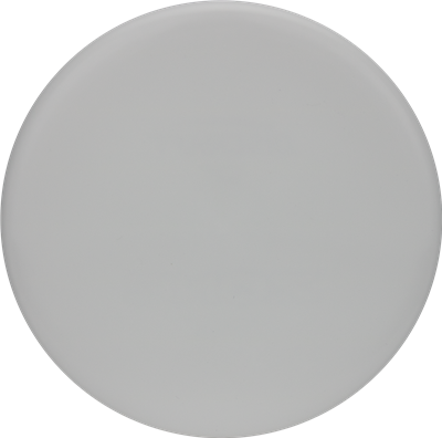 Discraft Discs White Zone Blank Front Bottom Stamp ESP 170-174g
