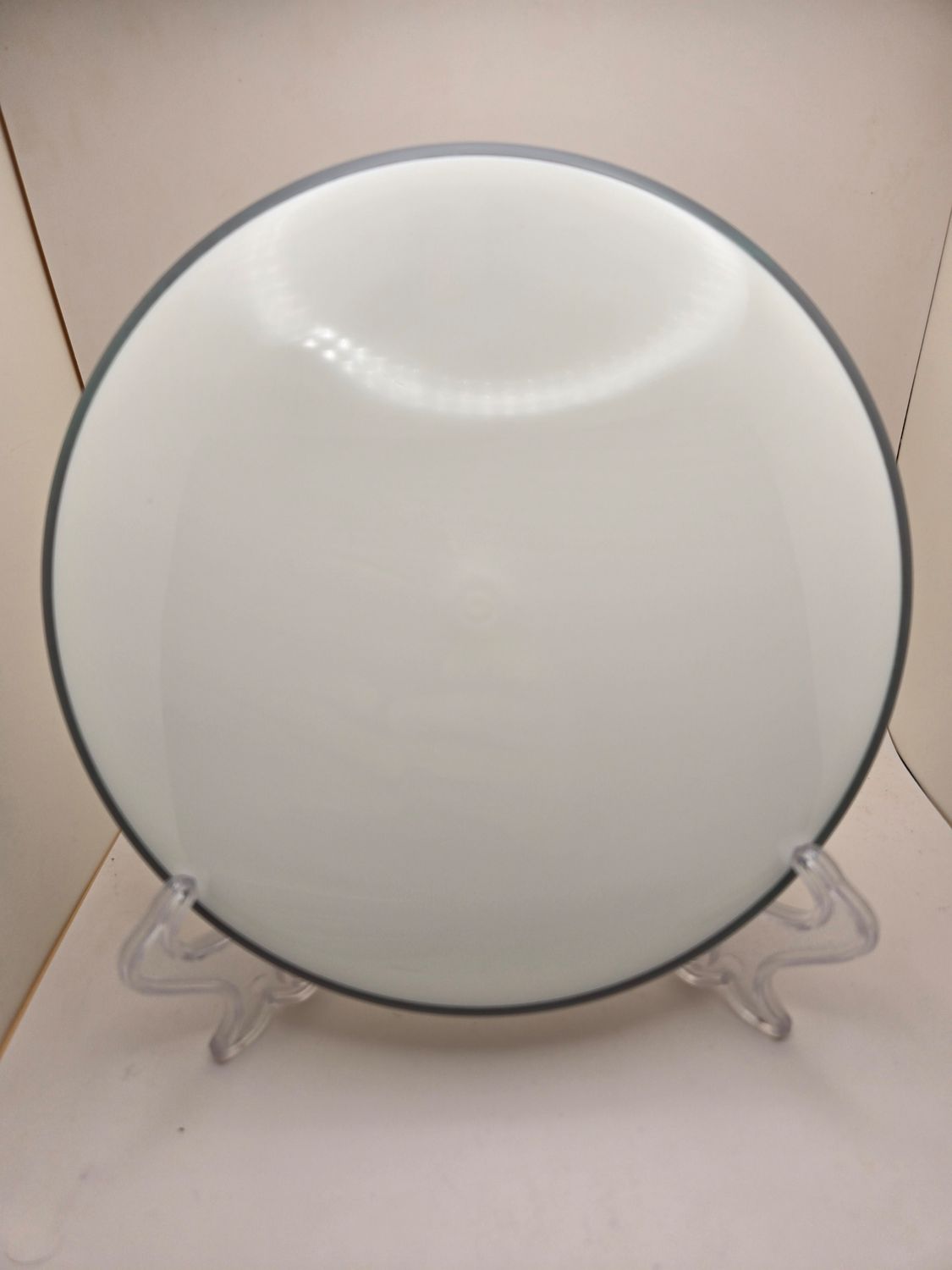 Dyers&#39; Delight Axiom Discs Proxy Neutron Soft White Blank with Grey Rim 172 - 174g
