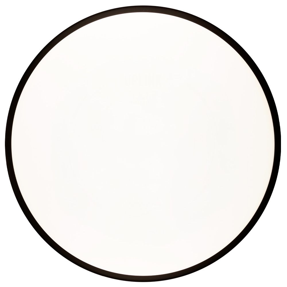 Dyers&#39; Delight MVP Discs Uplink Blank White Neutron Soft 169-175g