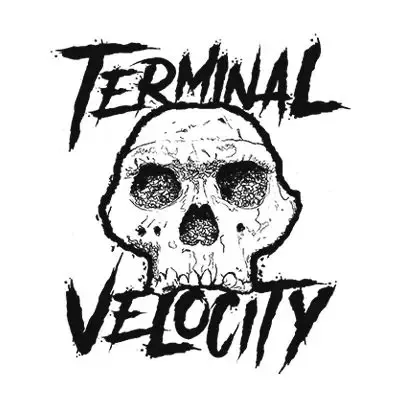 TERMINAL VELOCITY