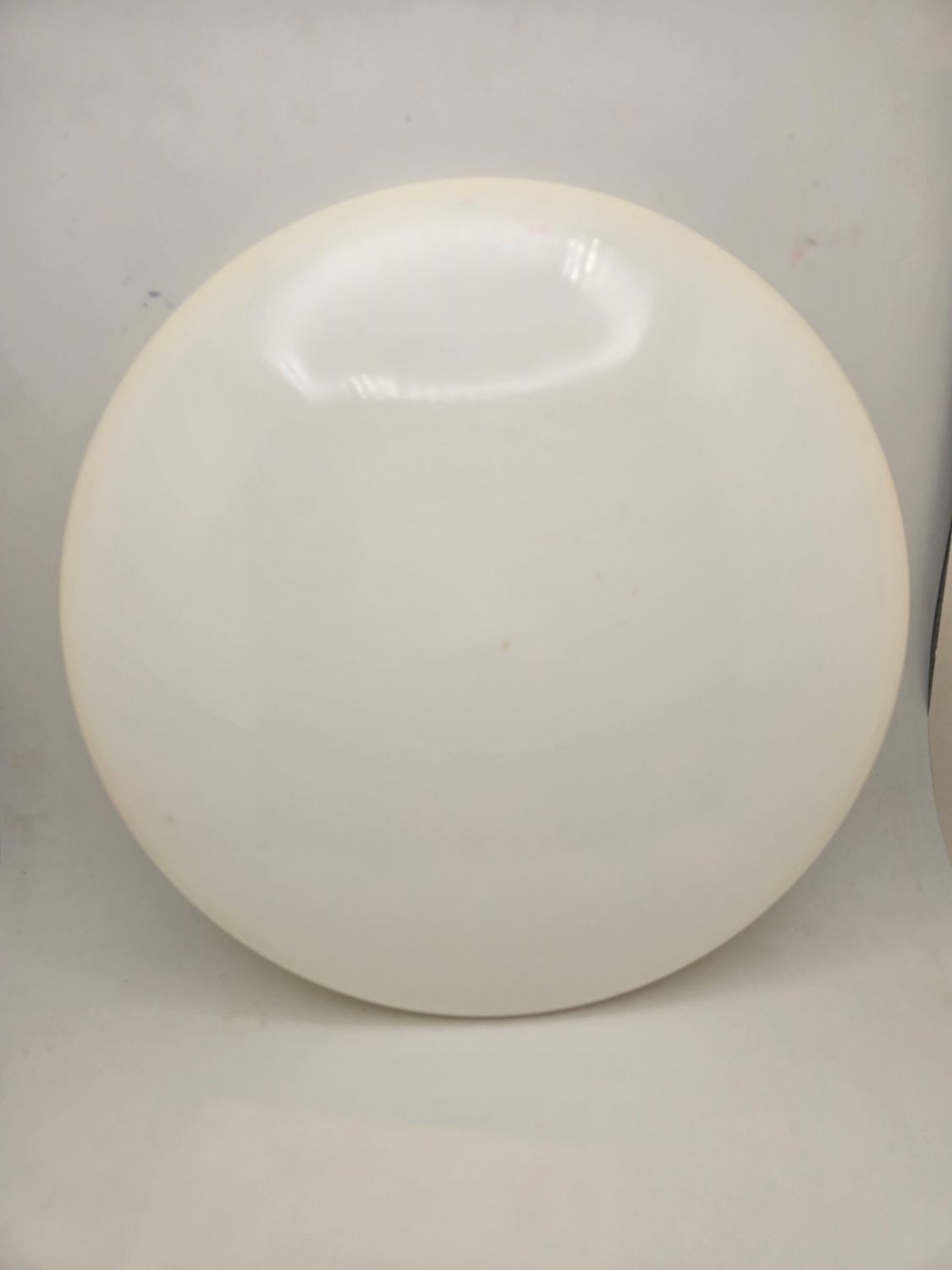 Dynamic Discs Tournament Blank White Warden  174g