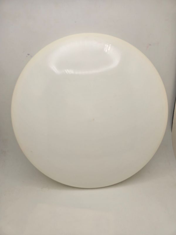 Dynamic Discs Tournament Blank White Warden  174g