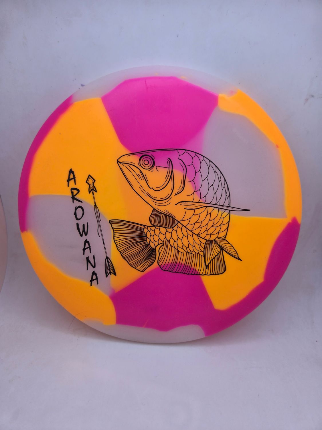 Elevation Discs Arowana - glO-G Arowana Sunset (Day) 170-173