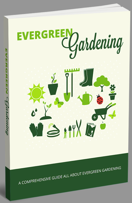 Evergreen Gardening