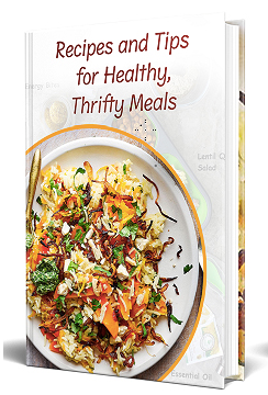 Healthy Thrifty Meals