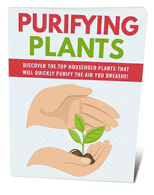 Purifying Plants