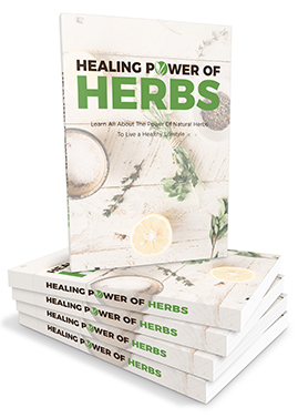 Healing Power of Herbs