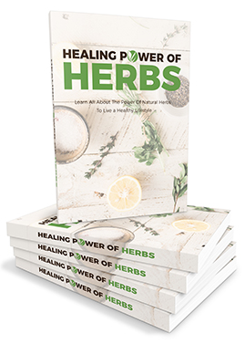 Healing Power of Hergs