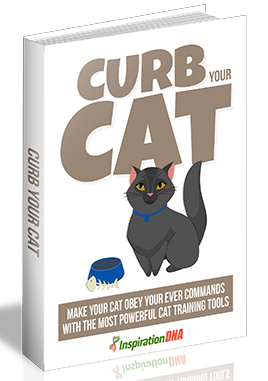 Curb your Cat