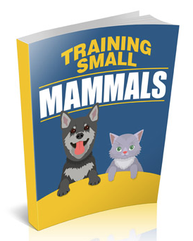 Training Small Mammals