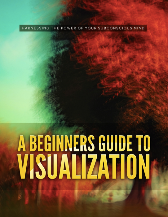 A Beginners Guide to Visualization