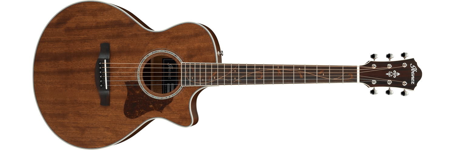 Acoustic Guitar Junior Size Acoustic Guitar Junior Size