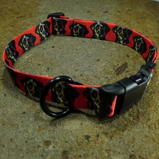 Puppies Dog Collar