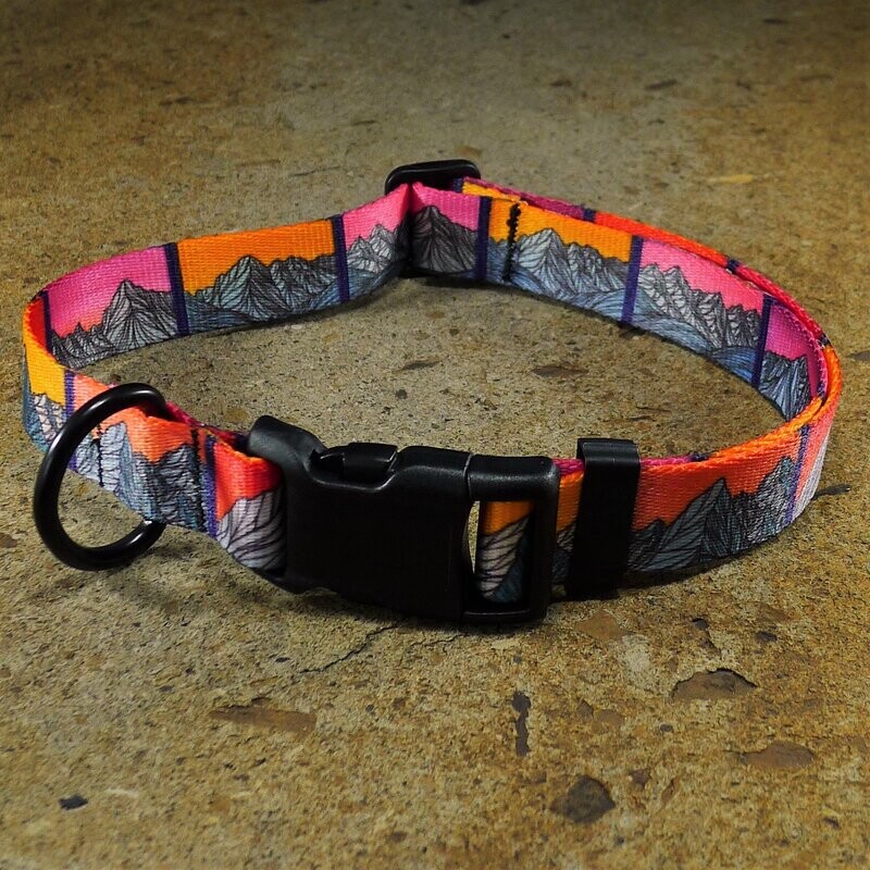 Idaho 9 Dog Collar