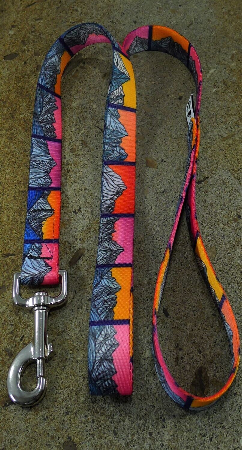 Idaho 9 Dog Leash, Size: 6ft