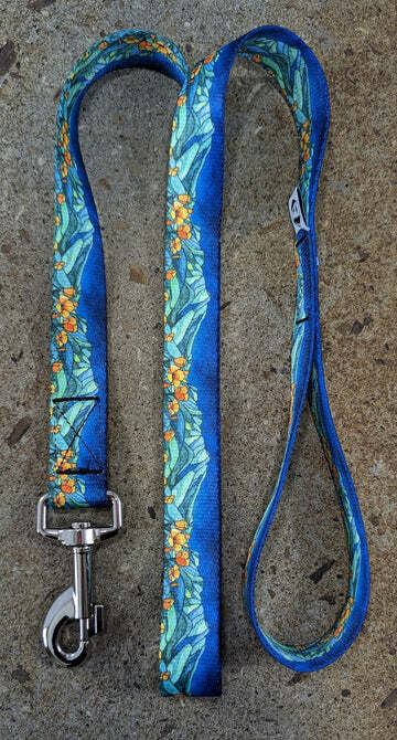Mount Tam Dog Leash