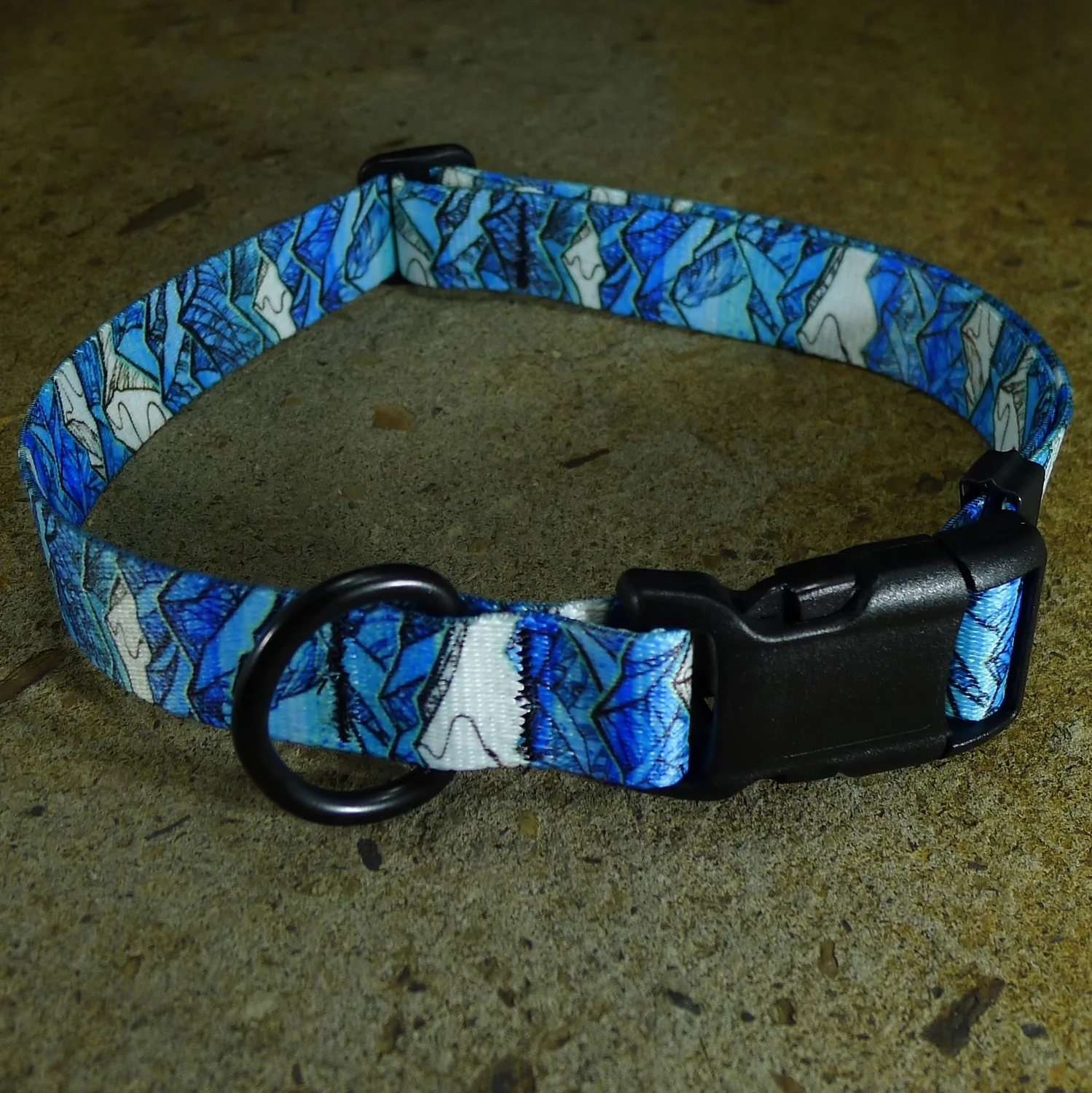 Salida Magic Dog Collar