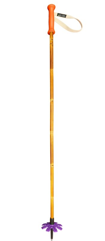 Kids Sticks- Grow with your poles program